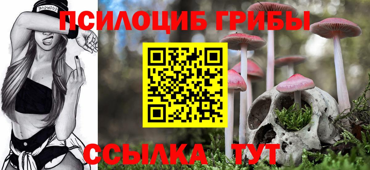 Нижнеудинск  Галлюциногенные грибы Psilocybe  Вход с VPN 